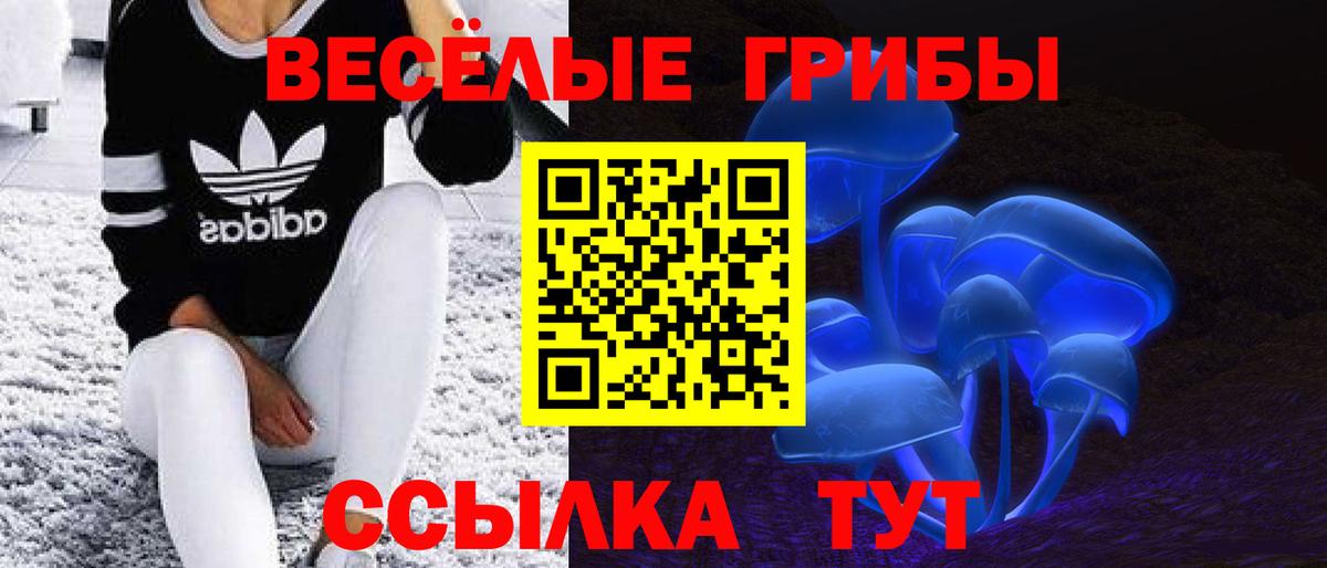 Йошкар-Ола  Галлюциногенные грибы Cubensis  Псилоцибиновые грибы мухоморы  Вход с VPN 